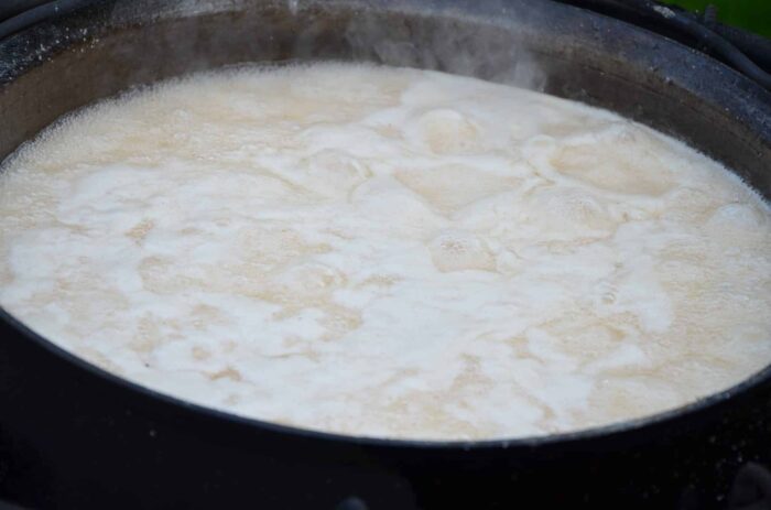 Priežu pumpura sīrups - Image 5