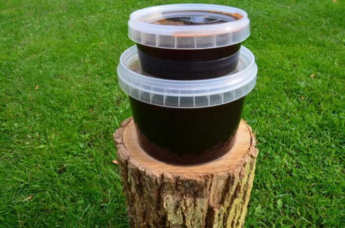 Priežu pumpura sīrups - Image 5