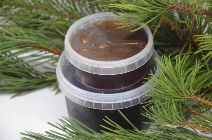 Priežu pumpura sīrups - Image 3