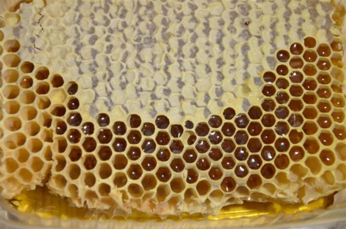 Medus šūna (200gr) - Image 9