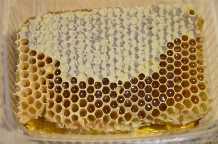 Medus šūna (200gr) - Image 2